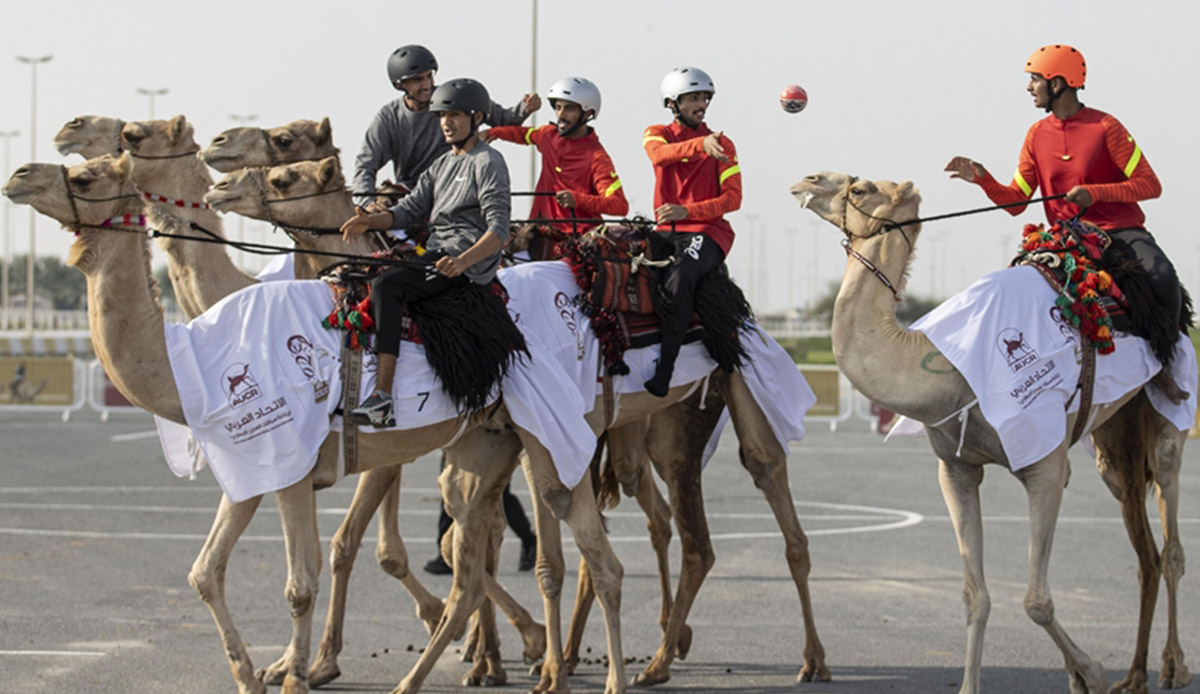 People play handball on camels in Qatar