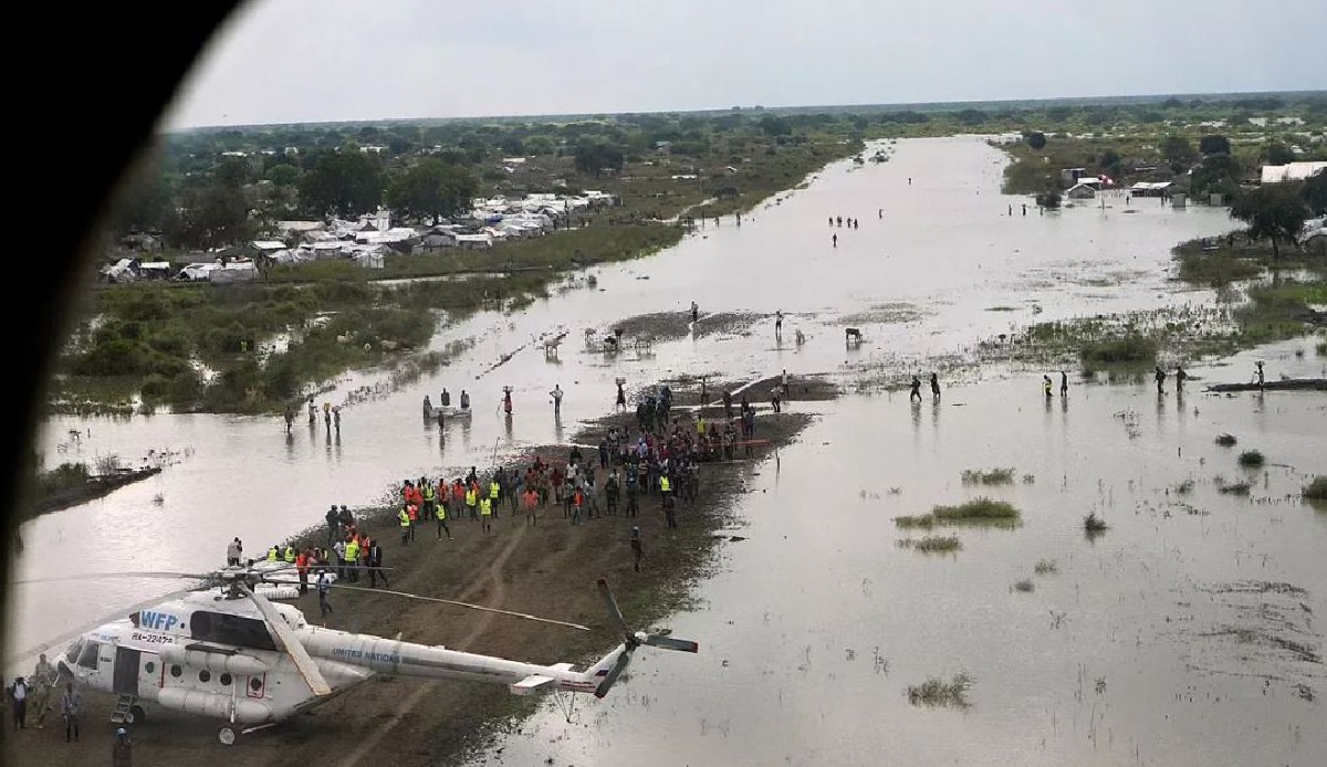 Dozens of people lost their lives in the great flood disaster in Africa