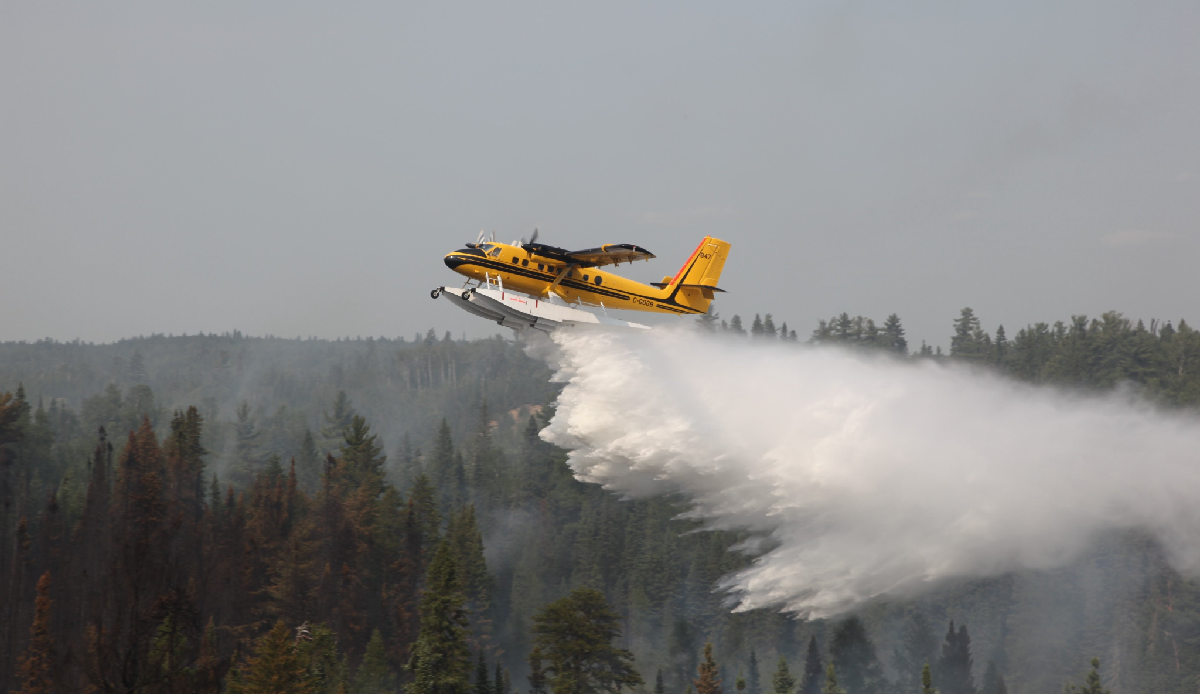 8.8 hectares burned in Canadian wildfires
