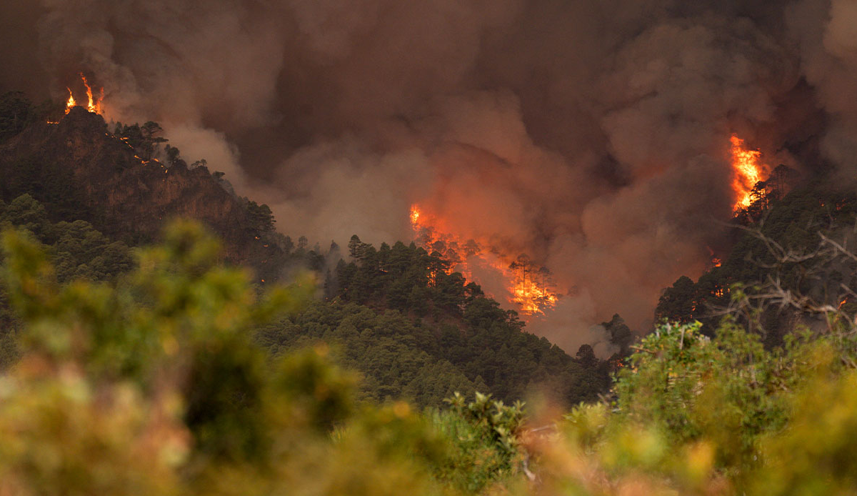 5 villages evacuated due to forest fire in Spain's Canary Islands