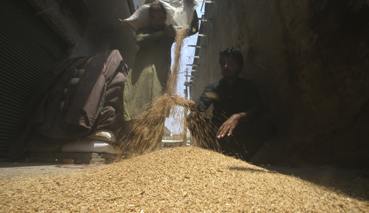 Grain deal cannot be predicted: UN official