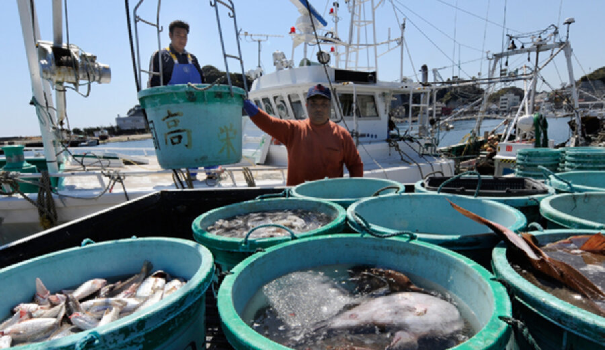 Japan to provide additional financing to fishermen after Chinese embargo