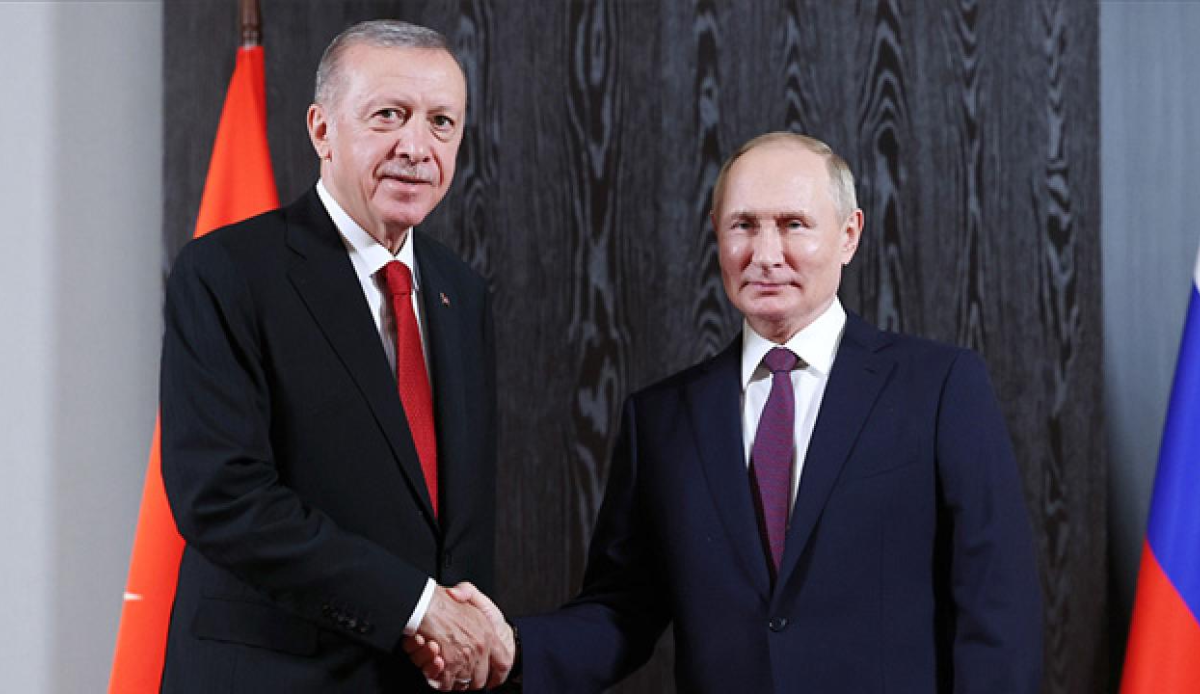 Turkish President Erdogan meets with Russian President Putin on Gaza