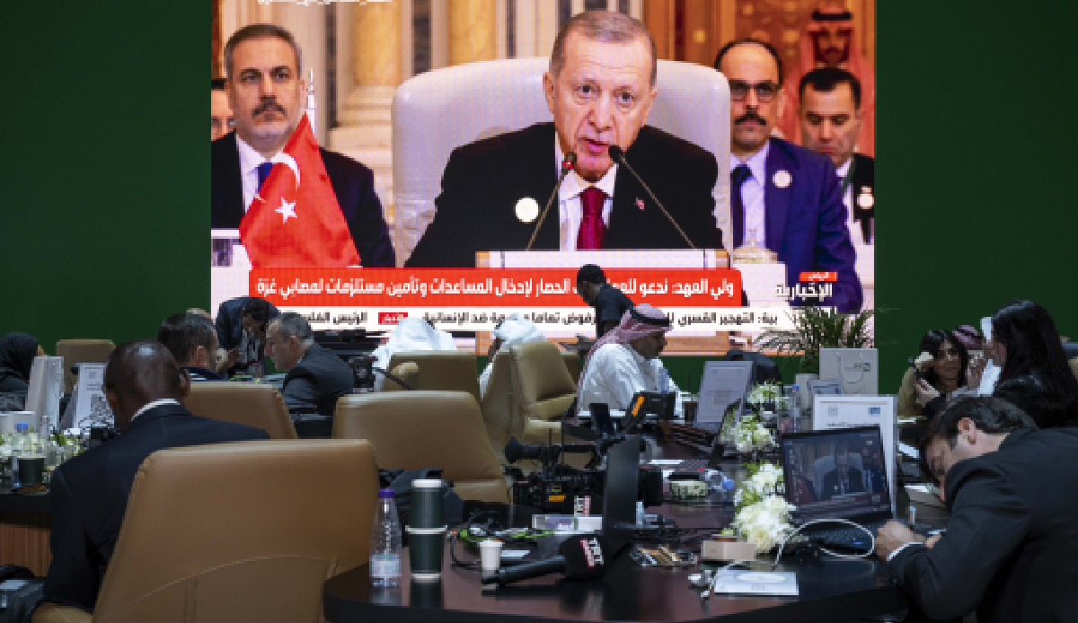 Erdogan stresses Jerusalem's vitality and urgency of ceasefire in Gaza in Riyadh summit