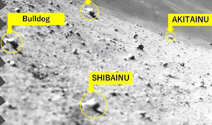 Japan's craft makes precision landing on moon