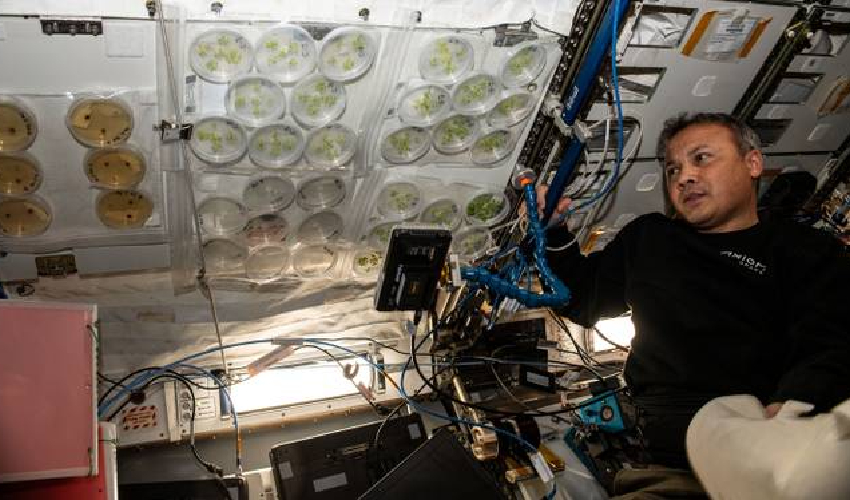 Turkish astronaut Gezeravci conducts more space experiments