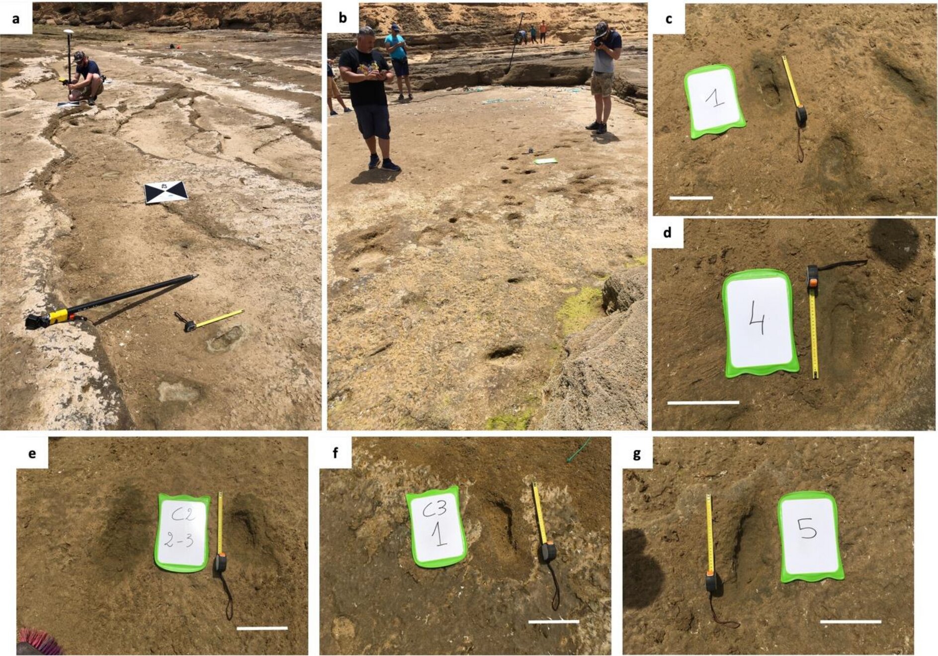 Archaeological find 90,000-year-old human footprints in Morocco