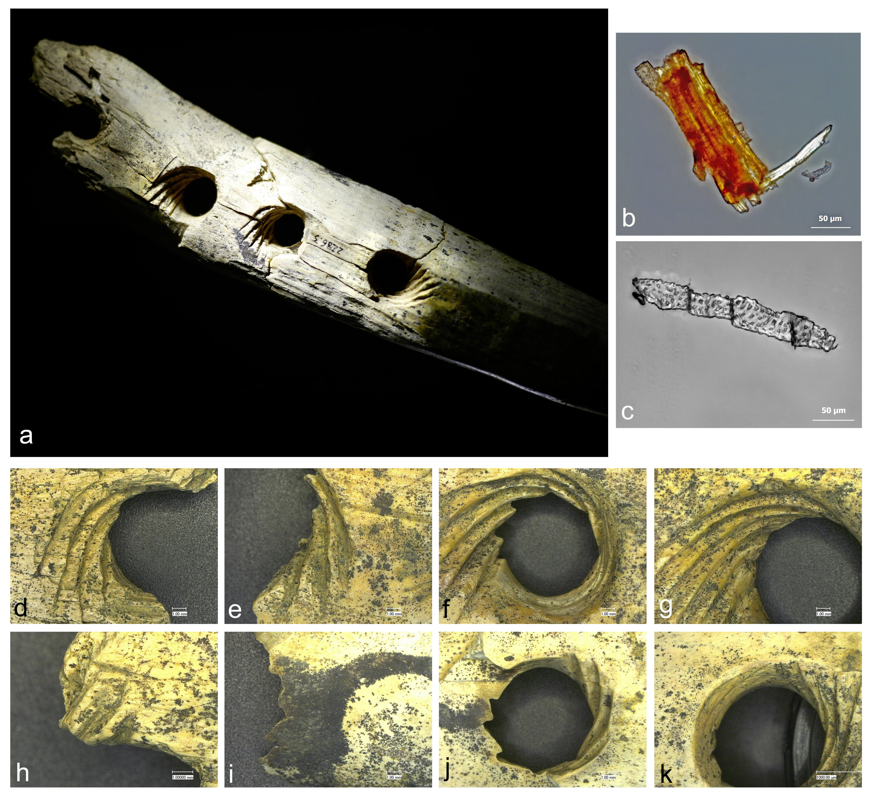 Experimental archaeology carried out on 37,000-year-old ivory tool used in rope making