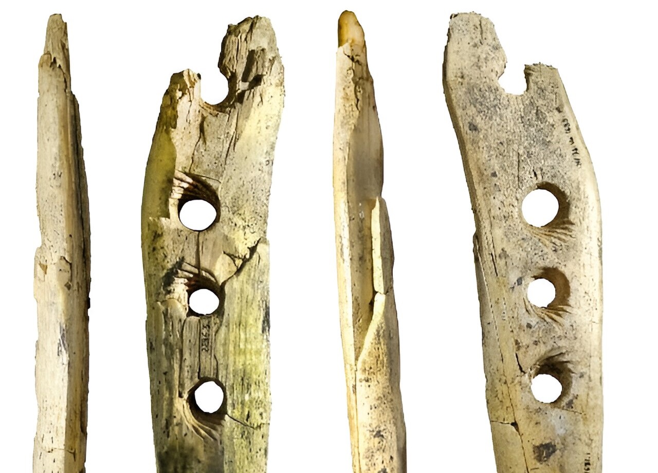Experimental archaeology carried out on 37,000-year-old ivory tool used in rope making