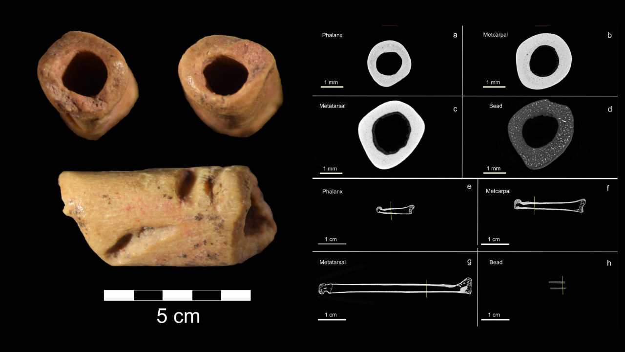 Oldest bead unearthed in Americas