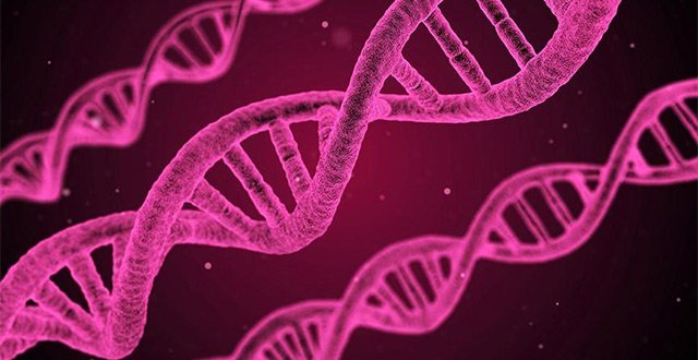 Turkish gene discovery hailed as top scientific find