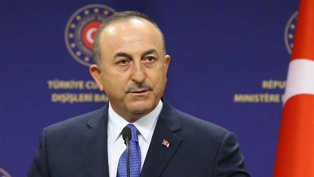 Turkish FM criticizes Austrian PM&#039;s remarks on Erdogan