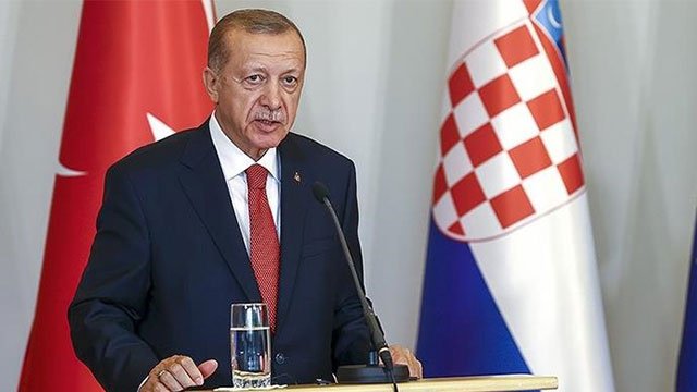 Türkiye expects grain exports from Russia to start soon: President